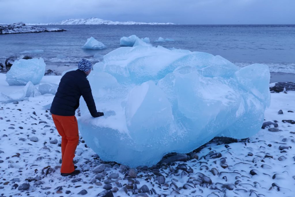 How Greenland could turn into a Big Tech problem, according to Morgan Stanley’s Mike Wilson