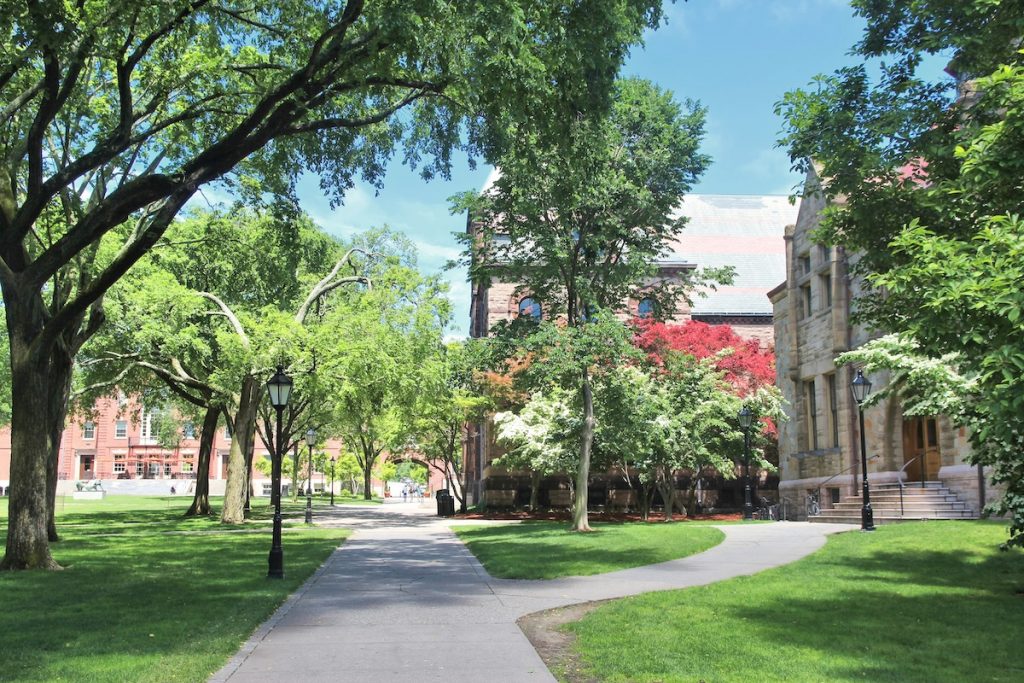 Moody’s Cuts Brown University Outlook To Negative, Citing $1.7 Billion Debt Load Sunny view of a tree-lined campus path winding past historic stone university buildings. This scene visualizes the setting for the ongoing debate about administrative bloat at U.S. colleges, providing context for the analysis of staffing ratios and operational costs at institutions like Ivy League schools. Source: The College Investor