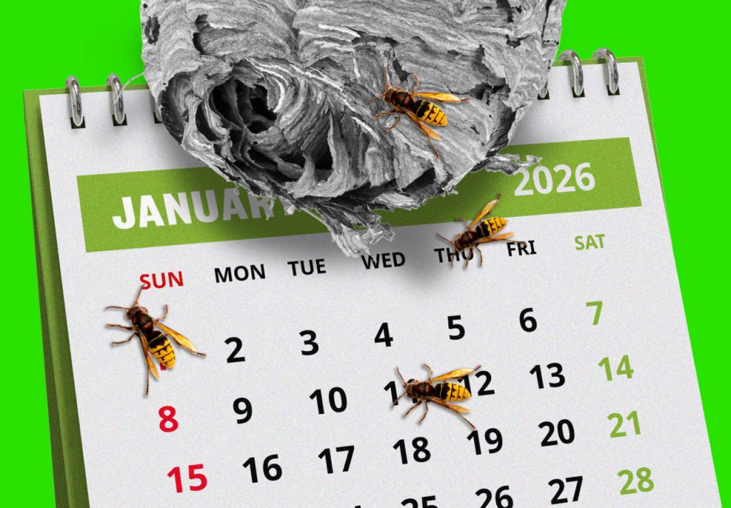 The labor market was bad last year. Will investors get stung by a poor January jobs report, too?