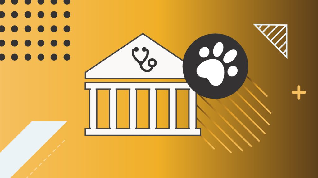 Best Veterinary School Student Loans And Rates Vector illustration representing veterinary school financial aid and student loans. The graphic features a white university building icon with a stethoscope on the pediment, accompanied by a black circle containing a white paw print. The design is set against a golden-yellow and white background with geometric patterns, symbolizing the specialized educational path and financing options for aspiring veterinarians. Source: The College Investor