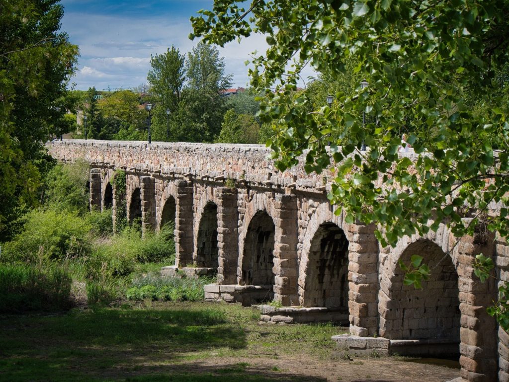 Explore the historic Roman bridge in lush Salamanca, Spain captured beautifully in daylight.